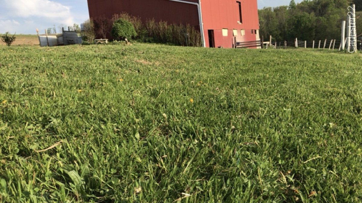 cadester22's tweet photo. I #foundmew yesterday
Try and #findmew in these pics😜
@JonnoPlaysCoC @FoxxyFoto @tj_dblu @Shiny7777777 @ShinySeven7 @ShinyHuntr @ArvindKumar_04 @shauns1288 https://t.co/z712tMUkxc