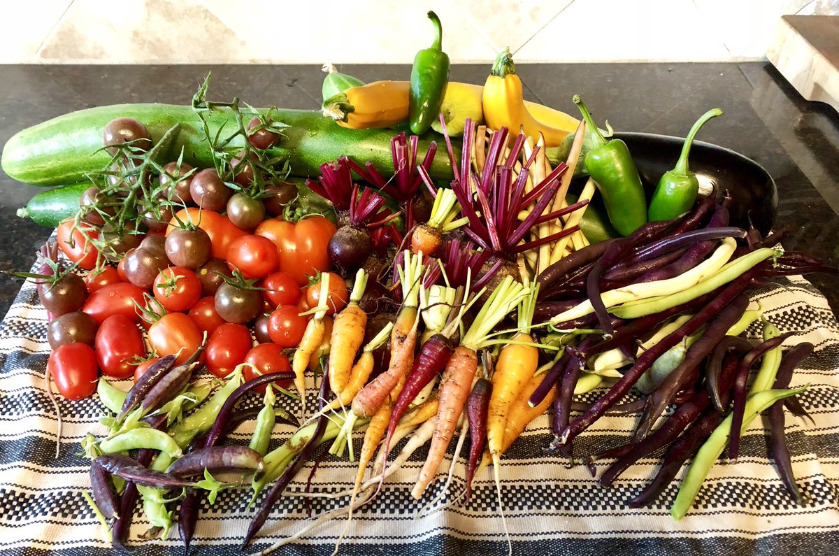 Northampton Veggie Gardeners tweet media