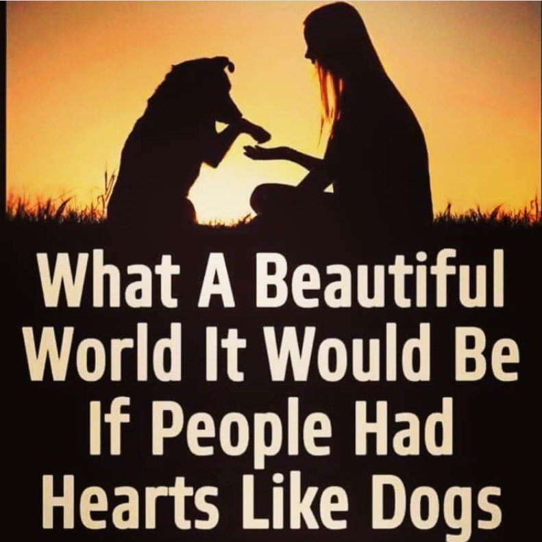 DogOwnersGlobal's tweet photo. It really would... #dogs #doglovers #dogsoftwitter #petsitesunite https://t.co/XRvxU1SLvC