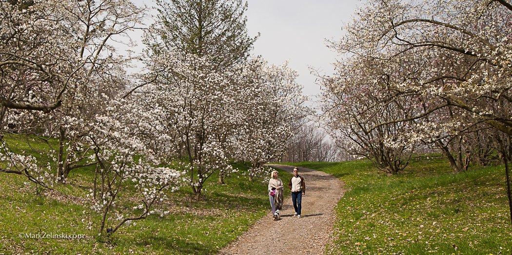 Happy #mothersday to all the moms, step-moms, guardians, aunts, grandmothers, and any other woman who has been a positive influence in a child's life! Take a walk with mom today and dedicate some time to just enjoying and appreciating each other's company. #ThankyouMom