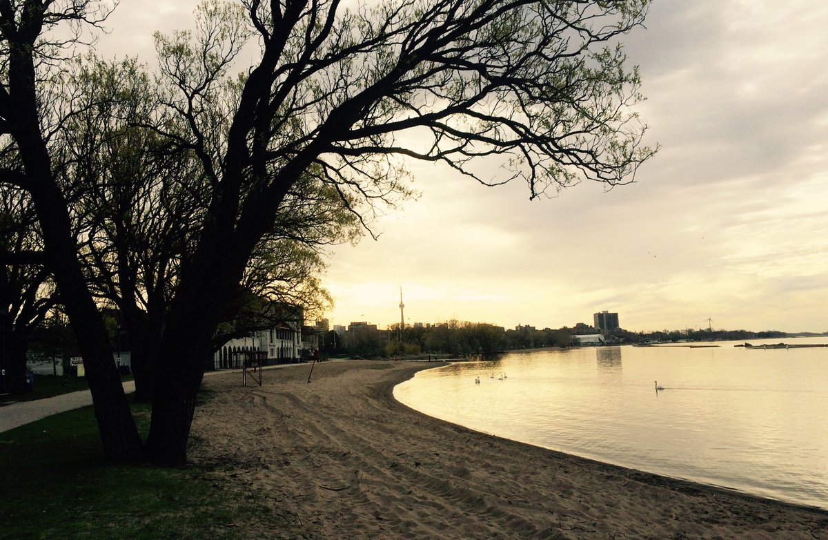 SamRunsLDN's tweet image. This morning's run looked like this