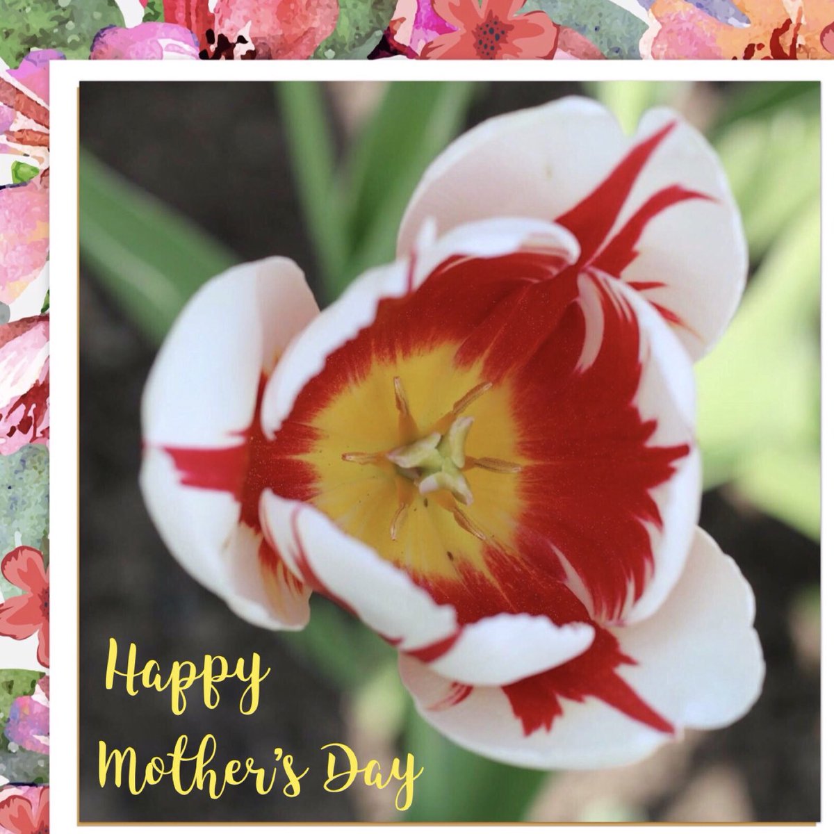 Artist_Pride_'s tweet photo. Happy Mother’s Day to all! Hope you have a wonderful day! #artistprideinc #mothersday2018 #MothersDay #momlife #Moms #mothers #MomsDay https://t.co/olZ782EyGu