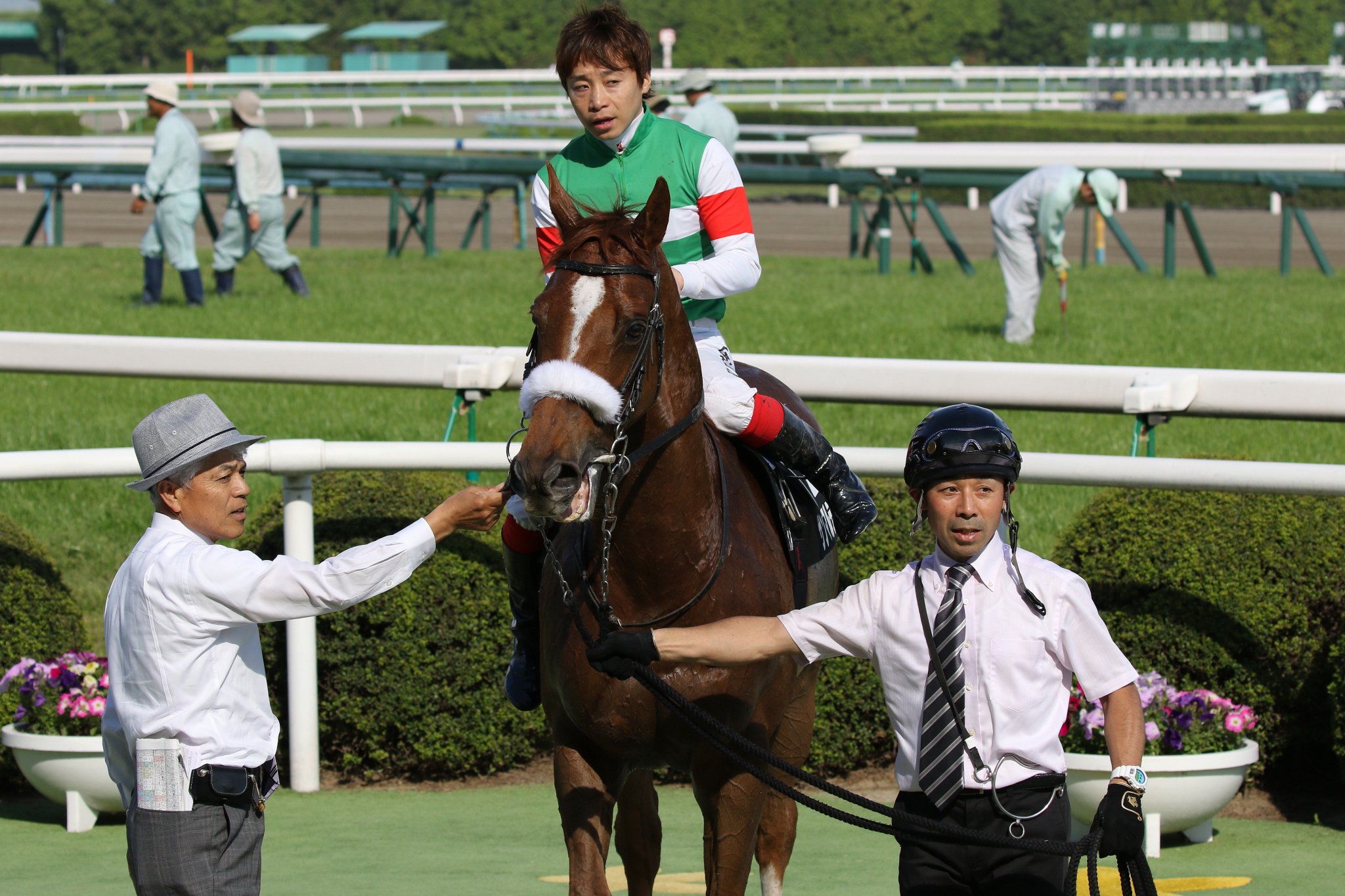 のだまハイ on Twitter