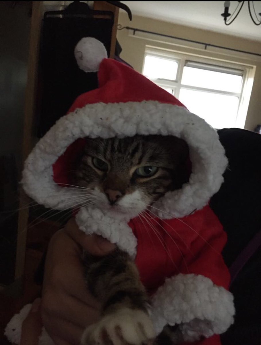 Happy Christmas all #BigGreenBox