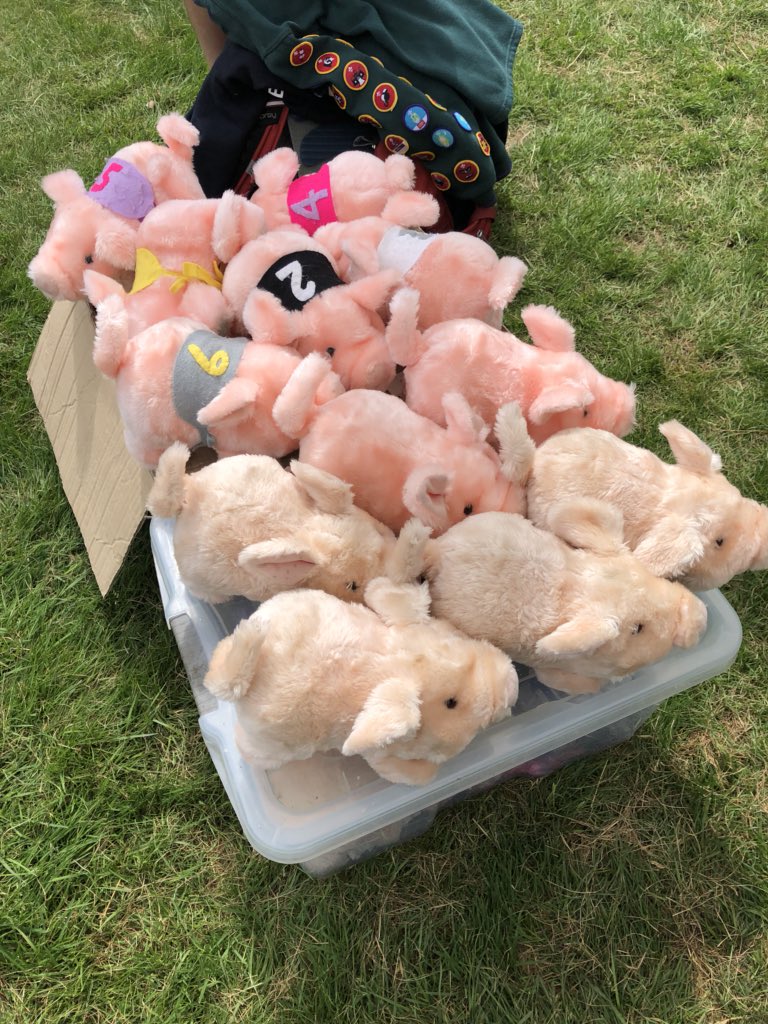 Dittonsfair's tweet photo. Come and join the fun at The Dittons Fair!!! Pig racing in full flow!! #AroundHW https://t.co/Qtgq49GJ6A
