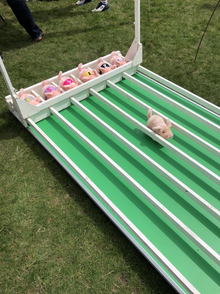 Dittonsfair's tweet photo. Come and join the fun at The Dittons Fair!!! Pig racing in full flow!! #AroundHW https://t.co/Qtgq49GJ6A
