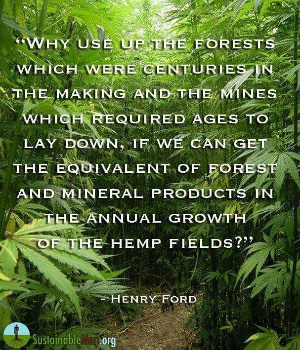 HempEHealth's tweet photo. Hemp is so useful and versatile! Even Henry Ford knew of its potential! #hemp #hempenthusiast https://t.co/f9XEWaq5NI