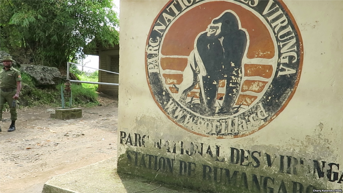 2 British Tourists Kidnapped in Congo Freed dlvr.it/QSjTnB