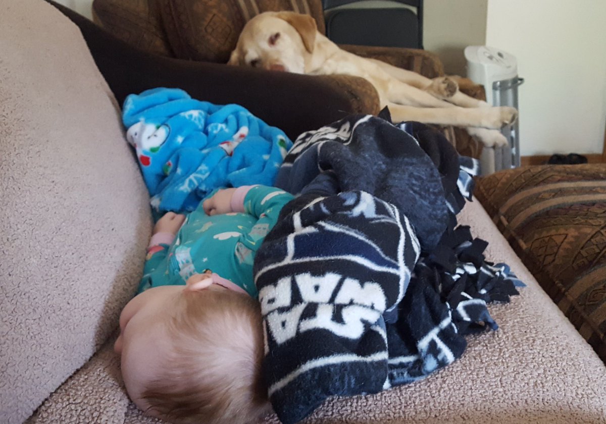 Liz_ICT's tweet photo. @maddiethinks Super abuela! https://t.co/YrBr8X269T