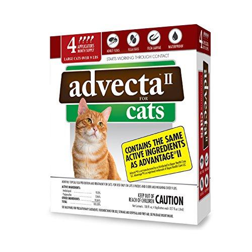 lovecat247's tweet photo. Advecta II Flea Treatment ...
Get it => https://t.co/BrX6Lgn8uD
#ilovemycat
#catlover
#cats
#catsupplies
#petsupplies
#cattoy
#loveyoumom https://t.co/qzlC35oZ06