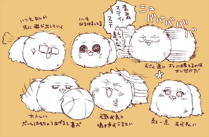 ポメ桐皇 