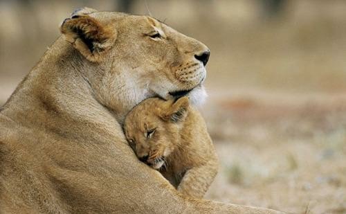 AmyRoseKathryn's tweet photo. Happy Mother's Day to ALL the wonderful mothers out there!!! https://t.co/UVoi2xDA4S