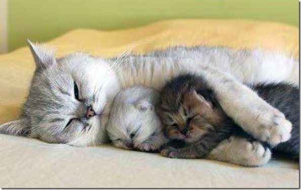 AmyRoseKathryn's tweet photo. Happy Mother's Day to ALL the wonderful mothers out there!!! https://t.co/UVoi2xDA4S