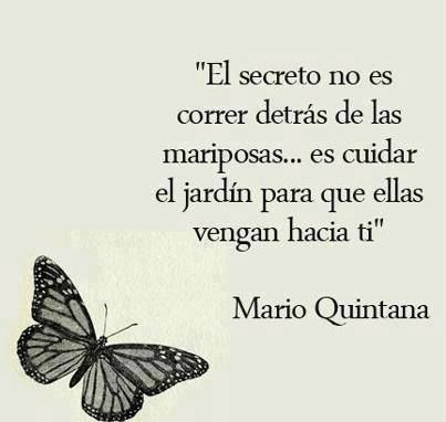 fenix7722's tweet photo. El secreto no es👐 https://t.co/6UsXskXIul