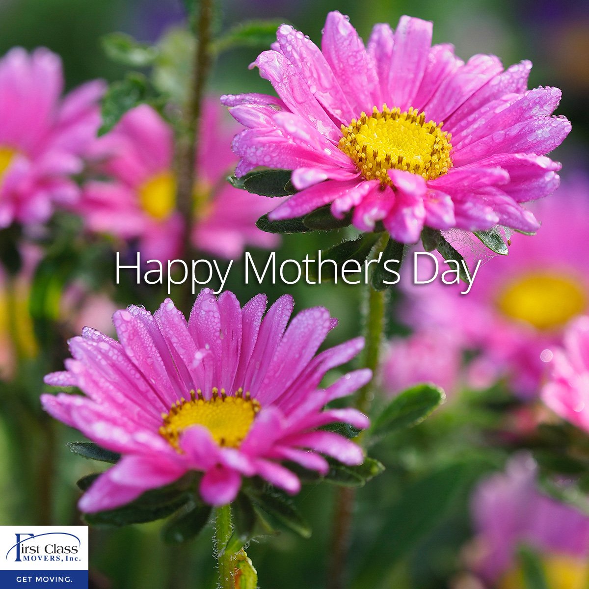 My1stClassMover's tweet image. Happy Mother's Day from all of us here at First Class Movers!

#FirstClassMovers #HappyMothersDay #MothersDay #MovingCompany #Moving #Movers #Storage