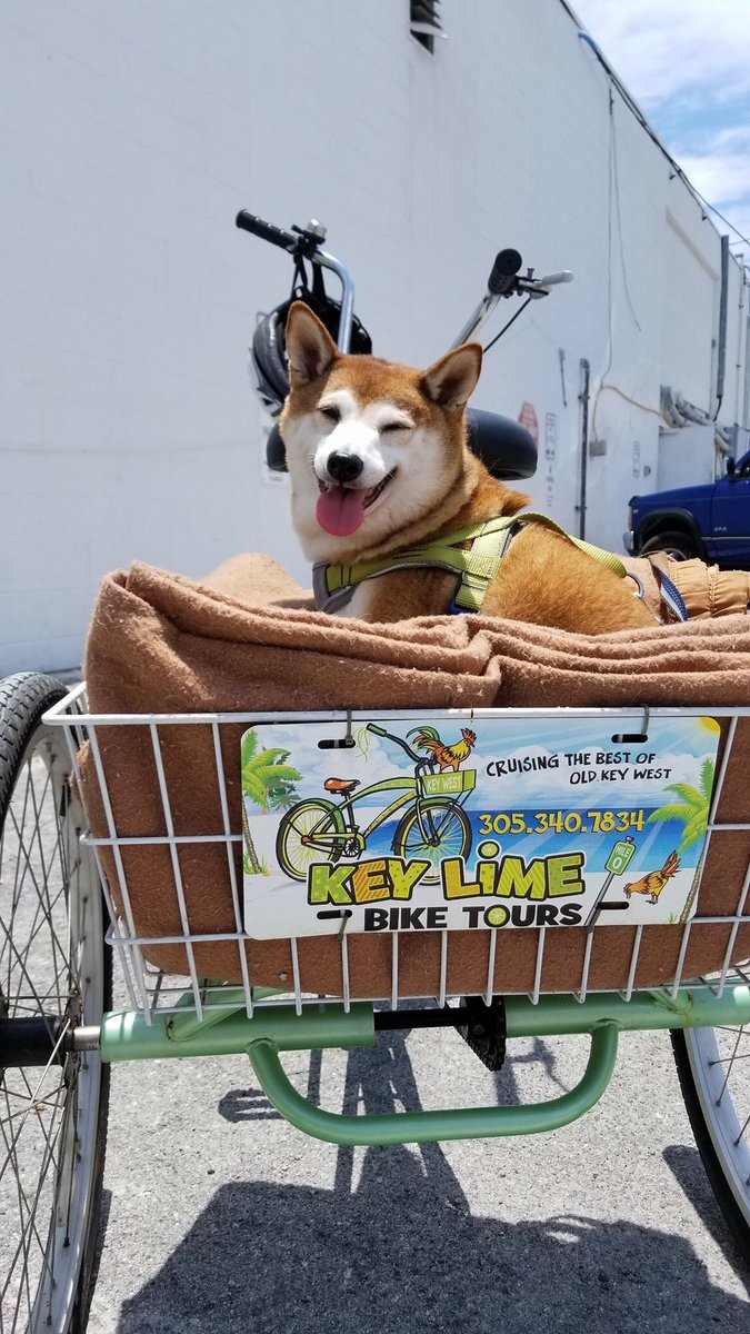 Key Lime Bike Tours tweet media