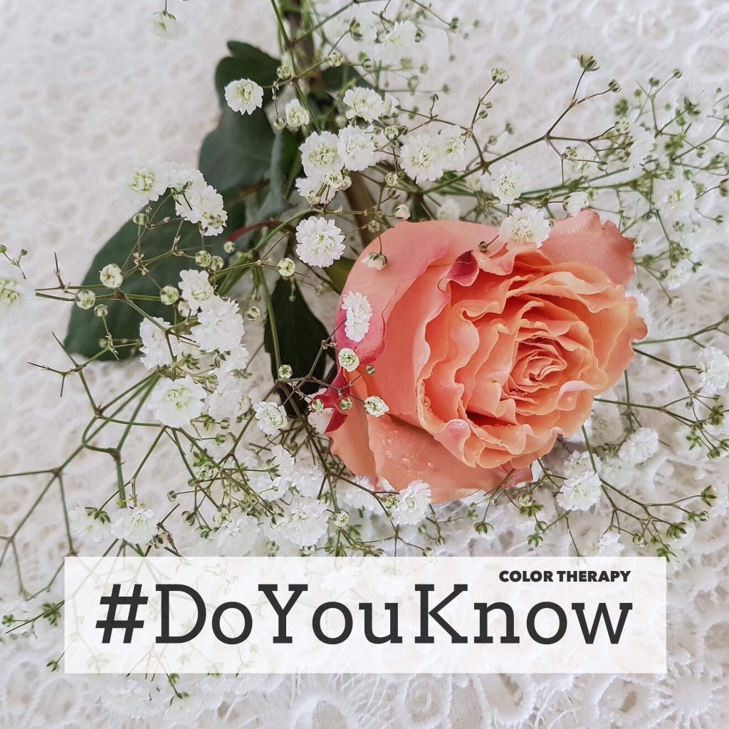 CTappOfficial's tweet photo. #DoYouKnow - interesting facts about Mother’s Day
Color Therapy: https://t.co/wo2usMhgQc
Read more on: https://t.co/28UTphcWRj
*********
#colortherapyapp #colortherapy #pixelcraftapp #coloringbooks #didyouknow #mothersday #happymothersday https://t.co/7JFTvHmg4j