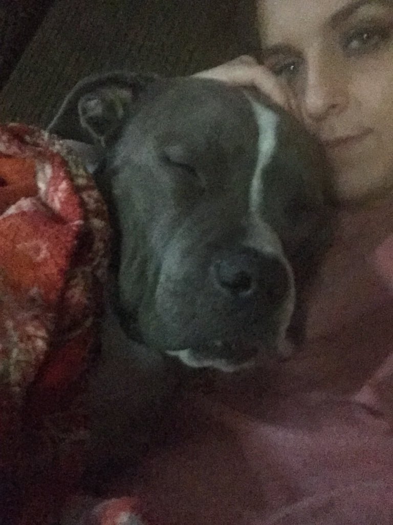 alyvalminer's tweet photo. After reading about all these #PitbullDropOff tweets my heart is shattered, all those babies that have already been harmed 😭 @Twitter shut down those accounts and stop allowing KILLERS to brag about their killings! #pitbullsarelovers #notkillers https://t.co/2S4Obhm85Z