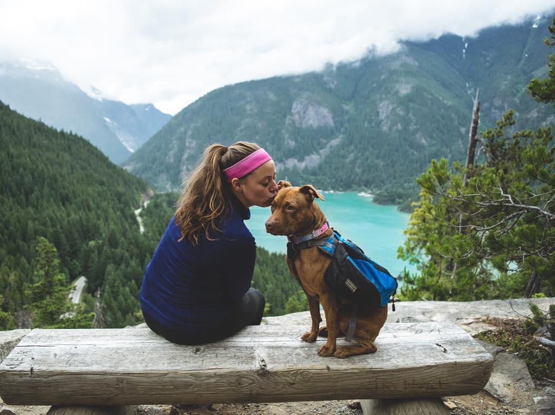 BIXBIPet's tweet photo. Whether she has fur or not, she’s still your mom. Make sure you wake her with a few more licks, take her on a nice long walk, and eat all the veggies for her under the table. #HappyMothersDay
-
#bixbipet #doglove #getoutside #healthypet #keepsniffing https://t.co/MwkeXNuwJu