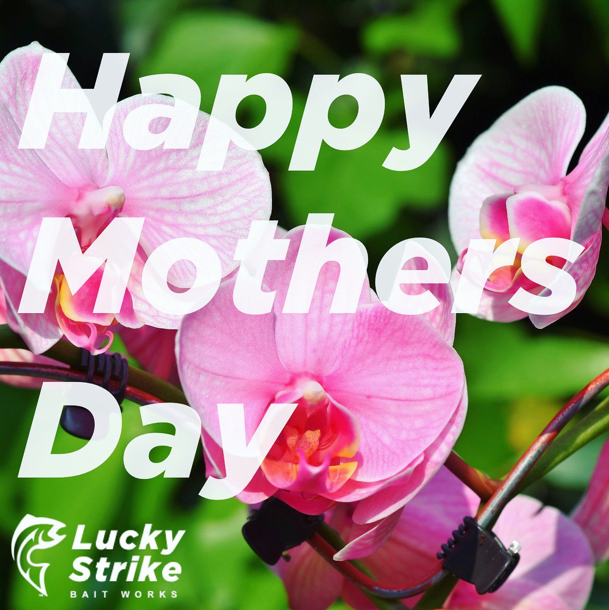 Happy Mothers' Day to all of the moms around the world from all of us at Lucky Strike Bait Works!
#mothersday