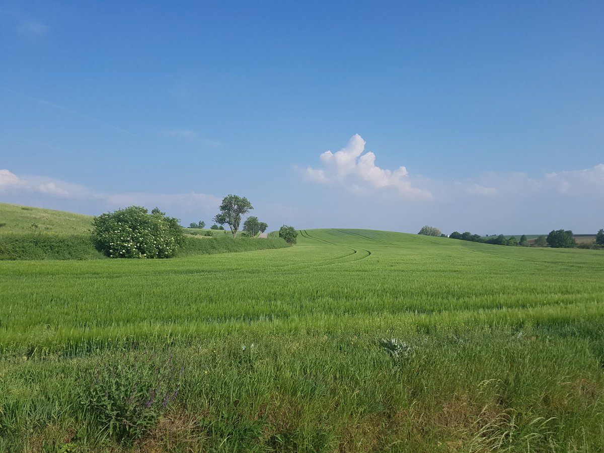 lgewessler's tweet photo. Zwischen Seefeld-Großkadolz und #Retz im #Weinviertel und Slup und #Znaim in #Südmähren. Aufatmen. Sonne tanken. Perfekter Sonntag. https://t.co/HdJpQYWuJK