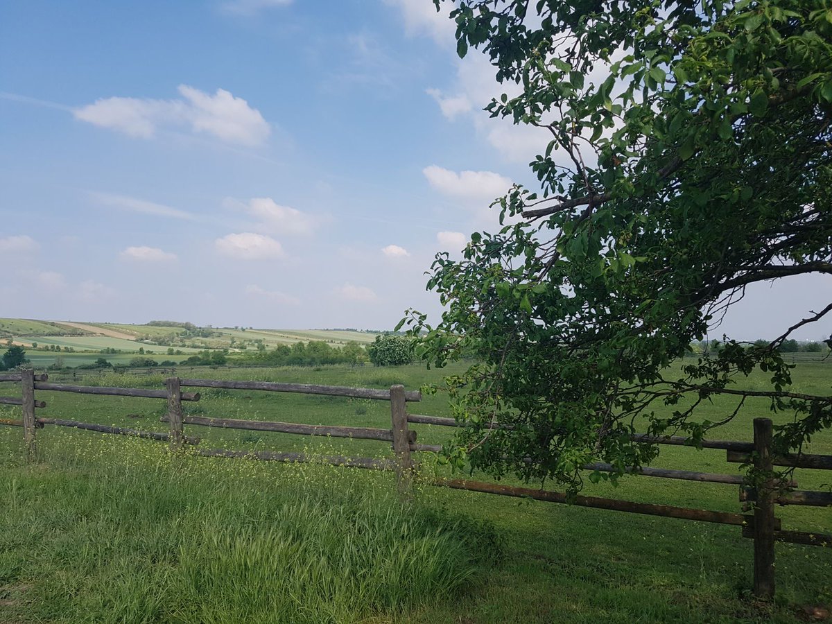lgewessler's tweet photo. Zwischen Seefeld-Großkadolz und #Retz im #Weinviertel und Slup und #Znaim in #Südmähren. Aufatmen. Sonne tanken. Perfekter Sonntag. https://t.co/HdJpQYWuJK