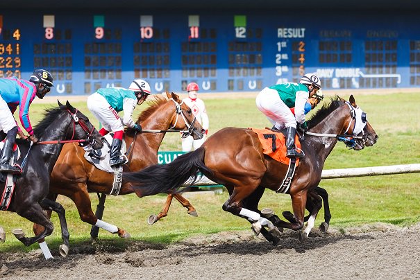 Do something special with your mother this year in honour of Mother's Day and surprise her with a day at the track for the Greenwood Stakes.

#greenwoodstakes #the6ix #the6 #torontoevents #horseracing #dayatthraces #torontolifestyle #ladiesandgents #fashionandfood #summerkickoff