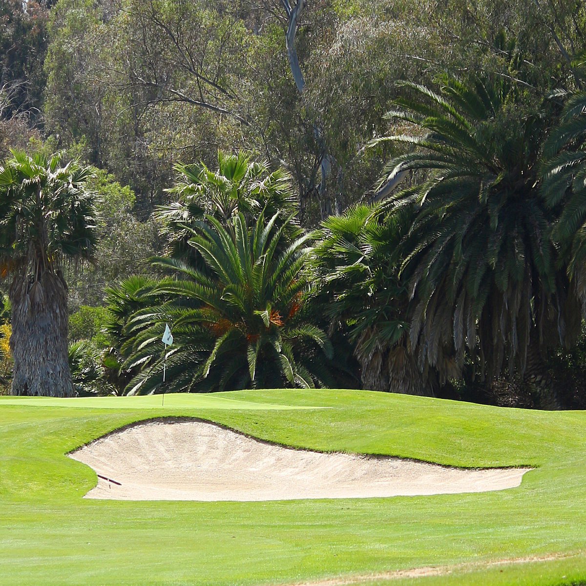 Elite_Per_Golf's tweet photo. Course management is a big part of our Winning Process. We’ll help you be better prepared then the others! Physical & Mental Golf Trainer. ⛳️🏌️ #ElitePerformanceGolf #SanDiego #GolfSD #SanDiegoGolf #SkipRedford #PGATour #PGA #Golfing #GolfCoach https://t.co/KynGldynh1 https://t.co/oadT7vSL2P