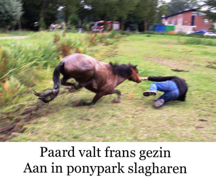 vuurvreter63's tweet photo. Het blijft zeer gevaarlijk met al die wilde dieren in de verschillende parken. #AnimalGate https://t.co/Sp4YQPAWsy