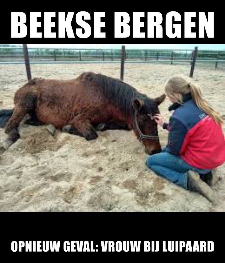 vuurvreter63's tweet photo. Het blijft zeer gevaarlijk met al die wilde dieren in de verschillende parken. #AnimalGate https://t.co/Sp4YQPAWsy