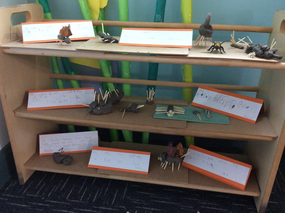 whitehouseps's tweet photo. Reception have just opened their very own Bug Zoo! Lots of opportunities for writing, discussion and role play @whitehouseps @jmchicken @GillKemp1 @EarlyExcellence #childinitiated #UnderstandingWorld https://t.co/yakTqXCrtq