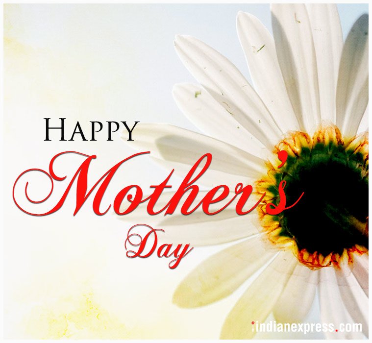 oldsoulVal's tweet photo. Happy Mother's Day to all of you moms out there &amp; to my mom in Heaven! 🌻 https://t.co/9lFAGOkhoQ