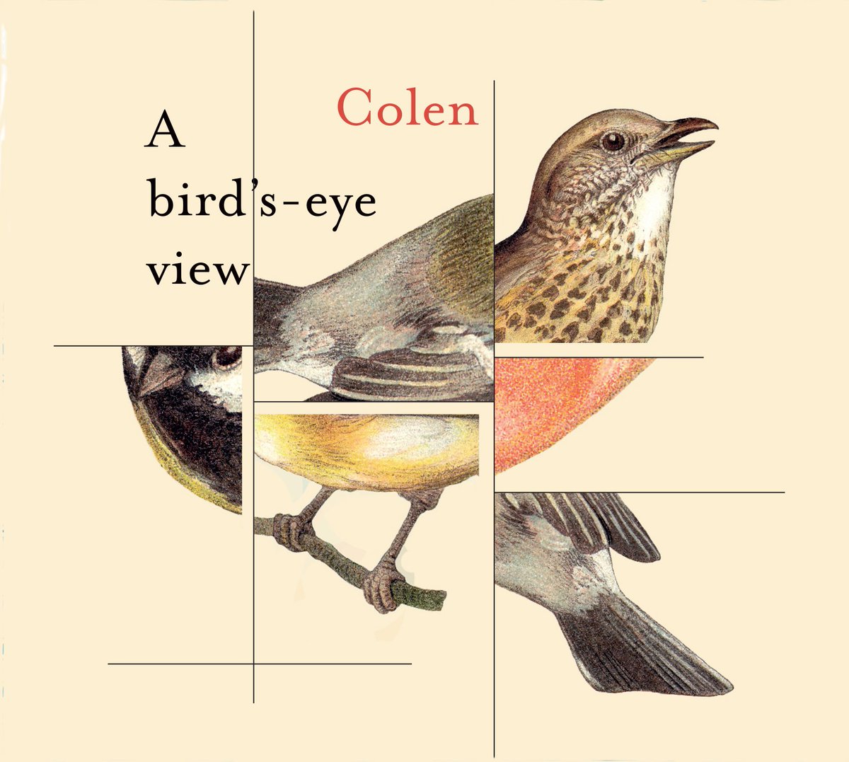 Adcolen's tweet photo. https://t.co/96Yi2JtWUF
Leuk interview over 'A Birds Eye View' op de website van de vogelbescherming. Muziek geïnspireerd door vogelzang. #abirdseyeviewcolen #vogelzang #DeBastei #Culturaede #jazz https://t.co/SigNyzEKUN
