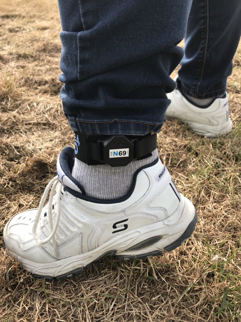 Inuk360's tweet photo. I am tall,
I am fluffy,
AND
Iβm about to do my first 5KM walk.
FIRST 5KM WALK, IN HONOR OF MY MUMMA, AND ALL THE AMAZING WOMAN WHO WILL BE WITH ME, AS I WALK. πππΌπ
#mothersdaywalk #walkwithinuk https://t.co/0vyNJuRSwj