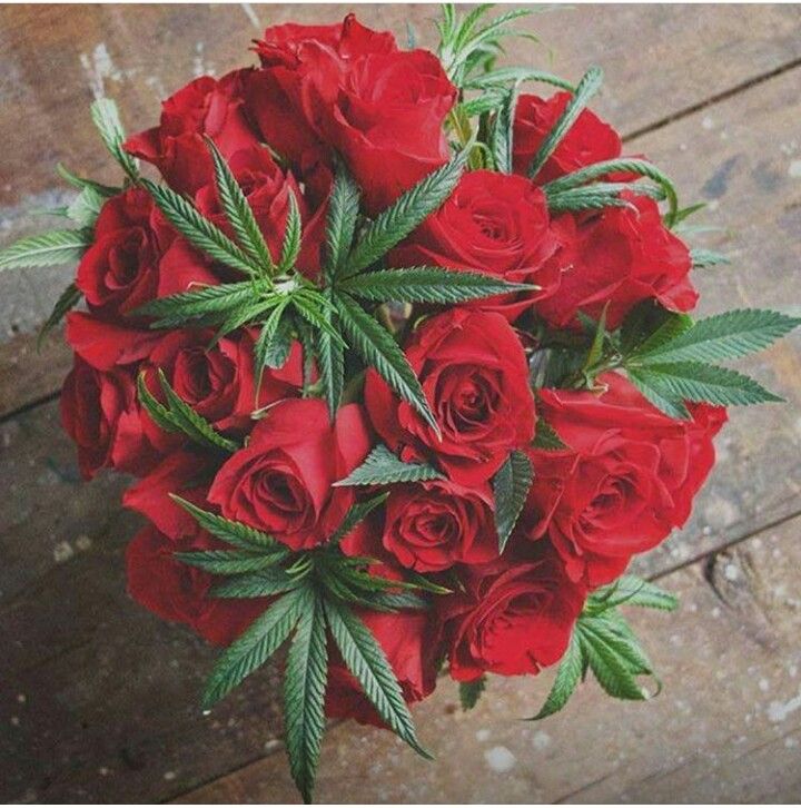 ArmyOfPotheads's tweet photo. #THEHIGHCOMMAND (THC) would #like to wish all our #Mother Commanders, Allies and Friends a very happy and memorable #MothersDay and we hope everyone enjoyed #MothersDayWeekend!
#Mom, we thank you for life & for all the #love & guidance you #share every day!
โค,
#GeneralJackโค https://t.co/WT9ZRtdNKd