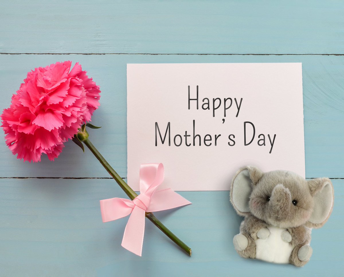 AuroraWorld's tweet image. Happy Mother&apos;s Day! #flowersformom #mothersday #elephantplush #rollypet #auroraworld