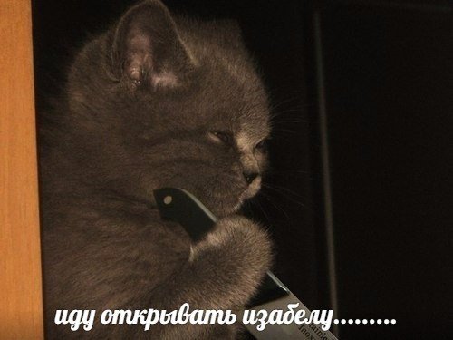 VasiliskEye's tweet photo. https://t.co/vQJBufYdjs