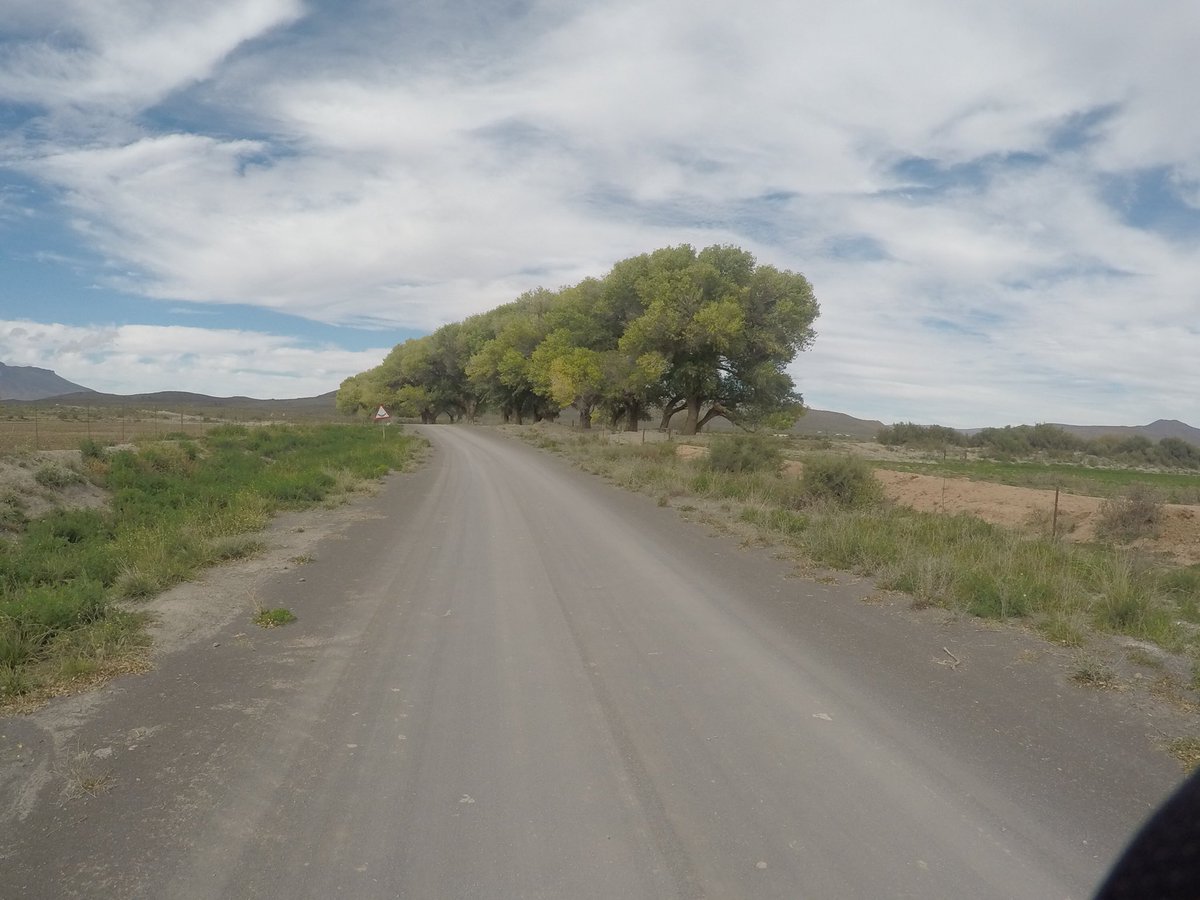 RobertFutselaar's tweet photo. Brutal day out there today. 151km with a stiff head wind. Everyone home safe and sound. @freewillyza @henryrcollins @TransAfricaAdv https://t.co/7XH68stPGa