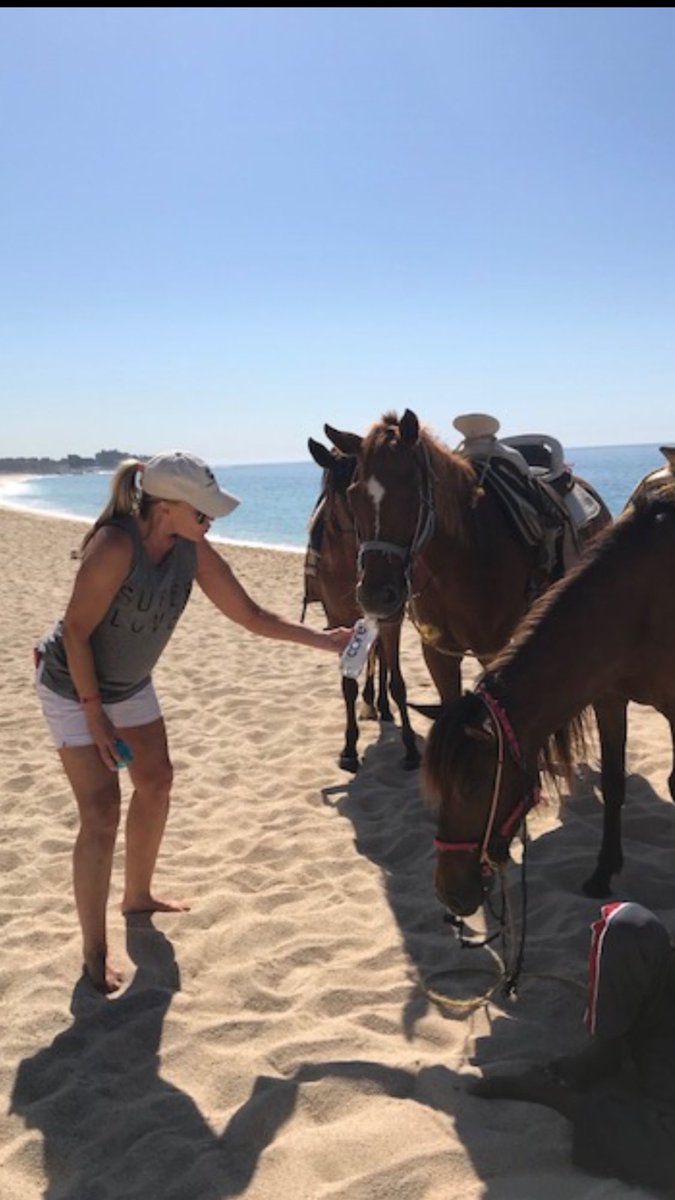 MadGirlVoo's tweet photo. Horses on the beach in Cabo getting their drink on and staying hydrated with #CoreWater!💧💦💧💦 #DaliVoodoo #CoreWater https://t.co/WqbQJ2kbzt