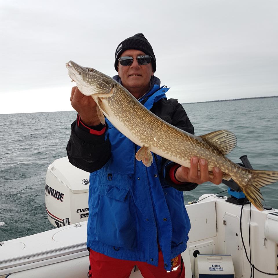 Old Cut Boat Livery tweet media