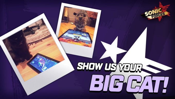 Ver imagem no Twitter