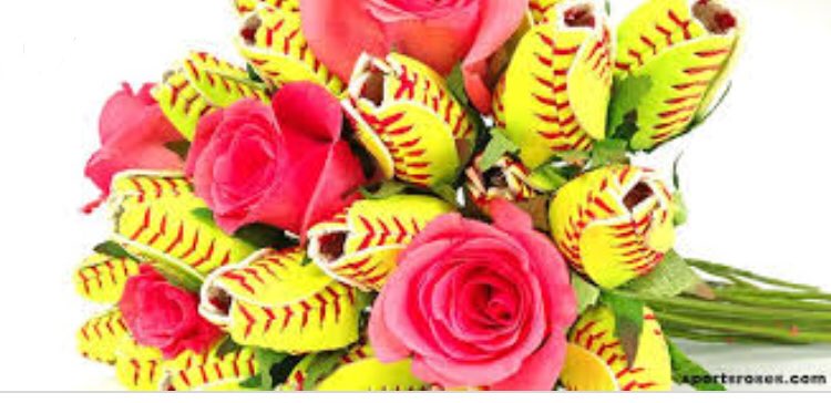 spcsportsinc's tweet photo. Happy Mother’s Day to all the Mom’s! Have a great day #softball #mothersday #spcsports https://t.co/kkIYsjMSze