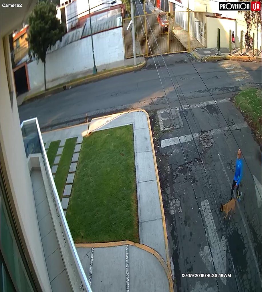 pacobionic's tweet photo. Si alguien reconoce a este vecino 🐷 que saca a su perro y no recoge los desechos 💩 favor de avisarle que pase a recogerlas! @Coapa_ @VecinosCoapa https://t.co/0Qi8LML520