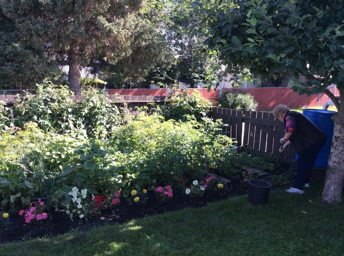 HikerCA's tweet photo. Celebrating my free-range, cage-free and organic mom in her natural habitat. Happy #MothersDay #callherup #comebyithonestly #inthegarden https://t.co/dKPLyLNcB7