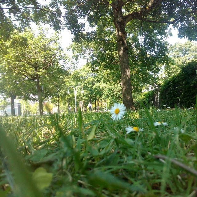 bodehase's tweet image. Habe mir vorgenommen, mehr #Mittagspausen auf diese Art zu verbringen. Mehr raus aus dem Hamsterrad... #Papablogger #elternblog #elternblogGER #dadofone #einkind #lebenmitkind #papablog #dadBlogger #familienzeit #familienleben #familienalltag #familienblo…