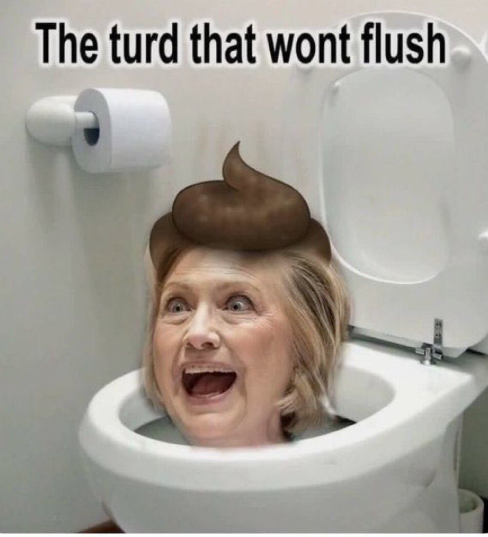 johnhoward3418's tweet photo. @KokeReport @SebGorka @HillaryClinton #FlushHer https://t.co/1QJGa49hhW