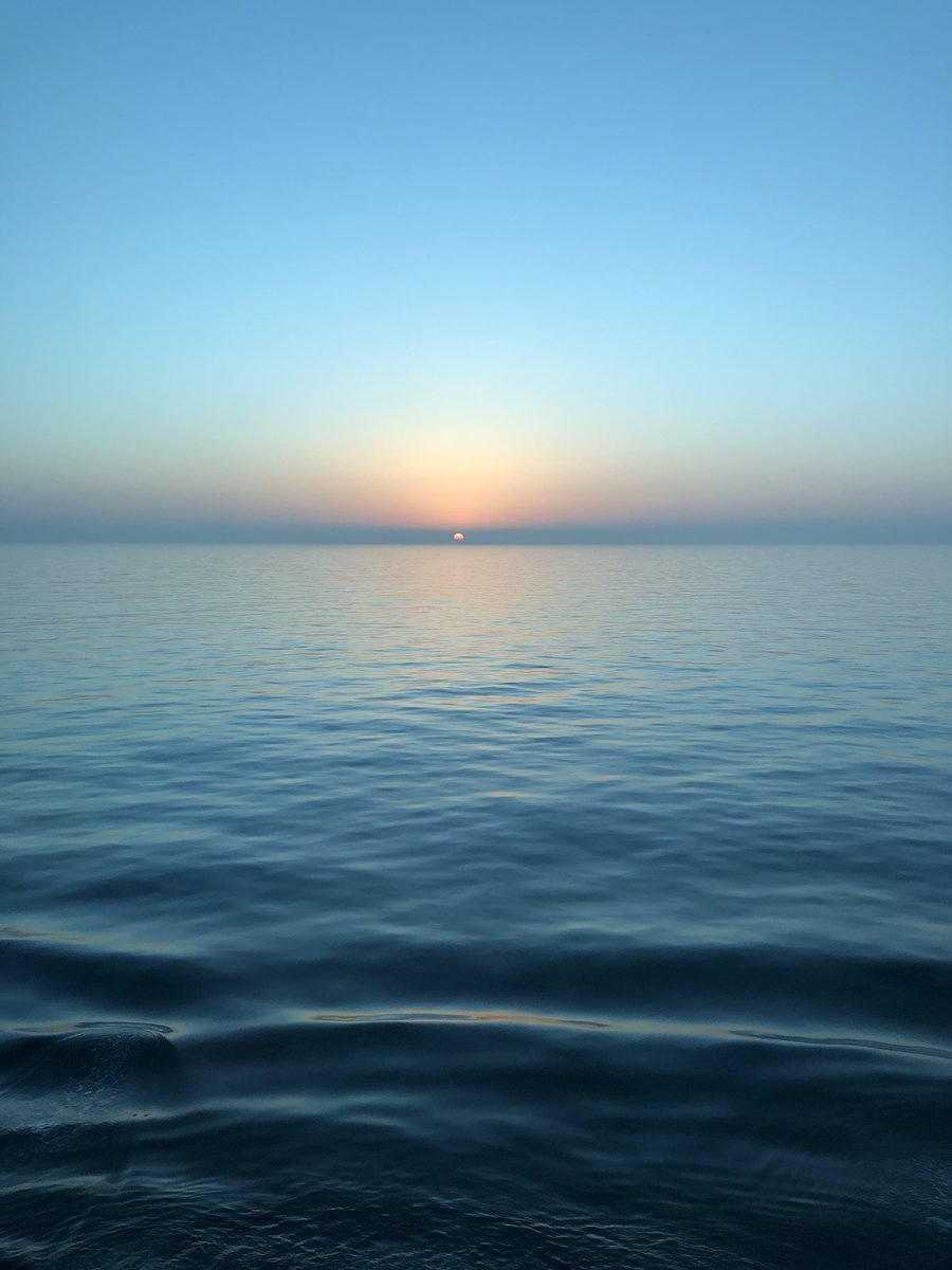 peterjohncox's tweet photo. Home - a little frayed around the edges! - after a wonderful week at sea aboard Navigator Of The Seas with the mighty GW band - and @TheTonyHadley, @ABCFRY, @belindaofficial, @kimwilde, @MikeReadUK and @sarajcox. Great to meet and spend time with so many lovely people! ❤️ https://t.co/vVEXis3mPL