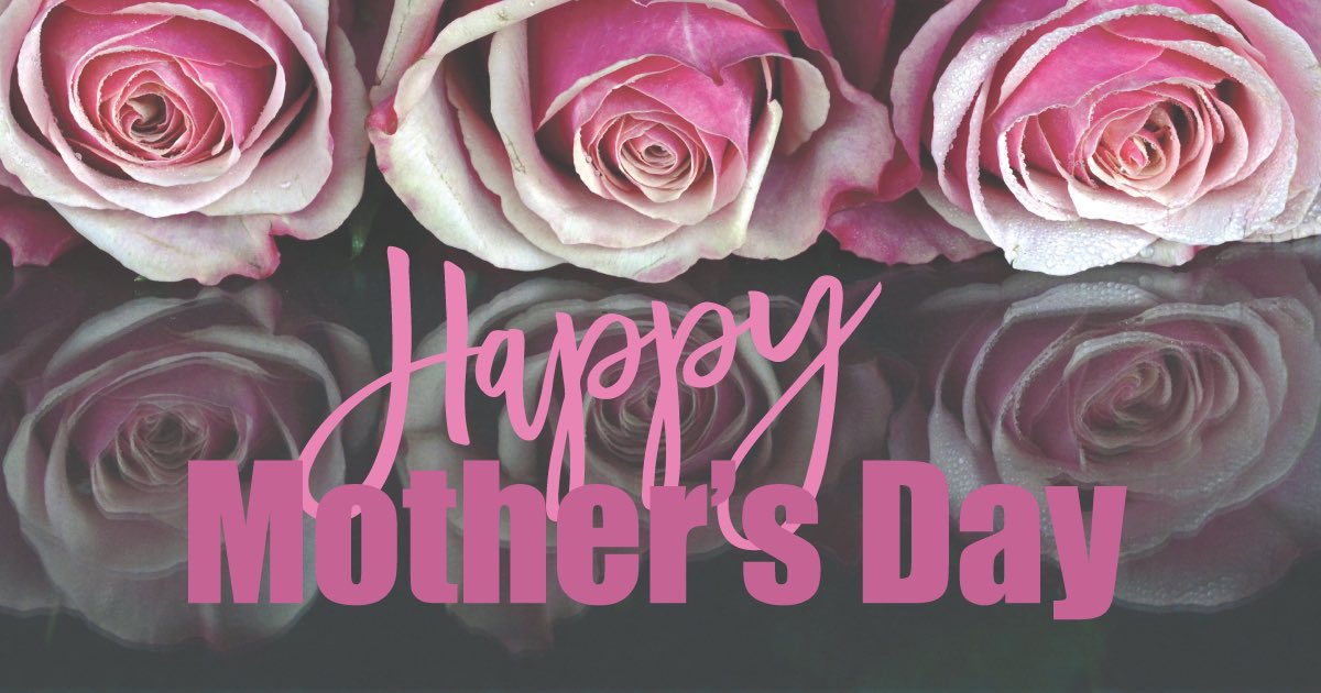 CinderFoxDesign's tweet image. 