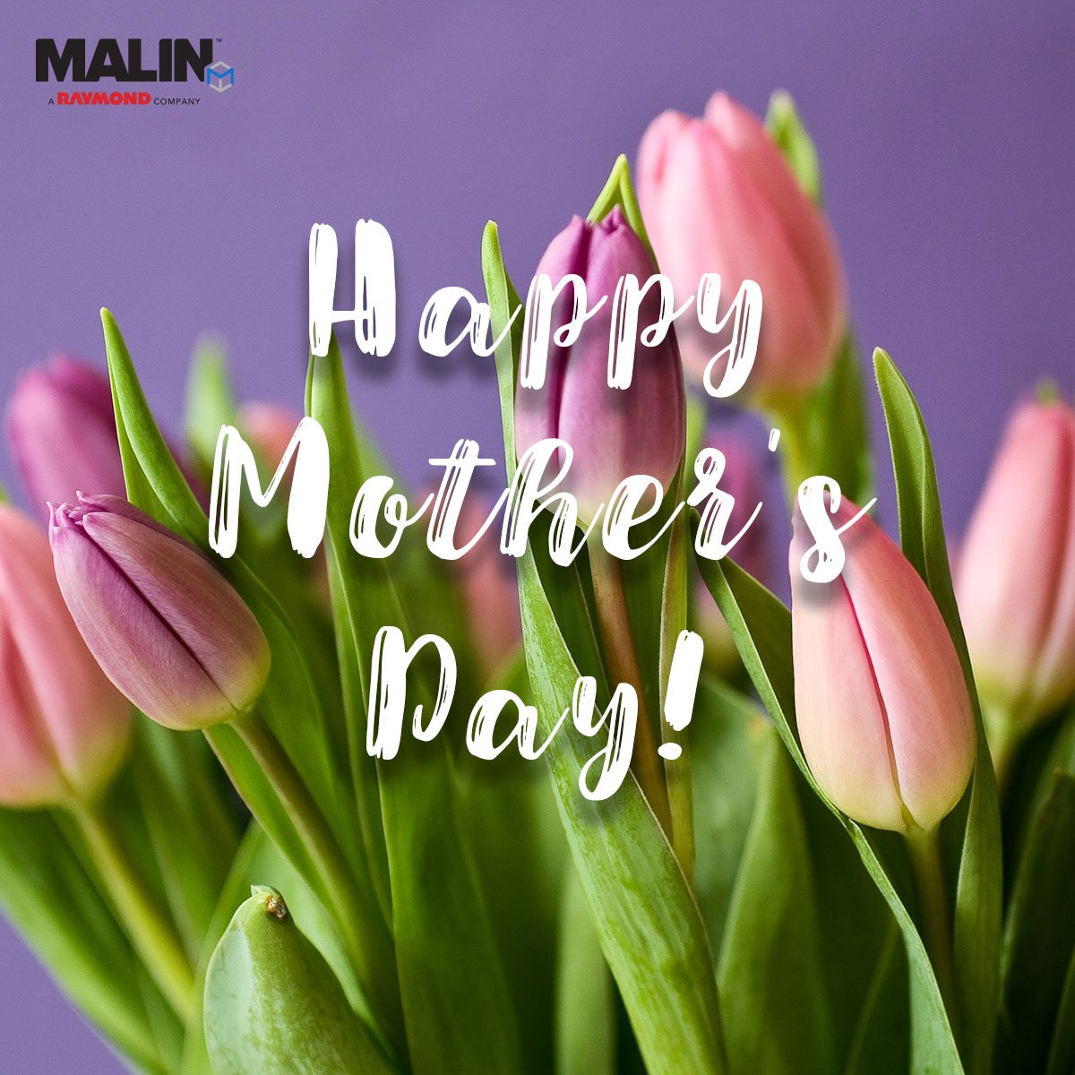 malinusa's tweet photo. #HappyMothersDay from the Malin family to yours! https://t.co/CDaK5nQI3u