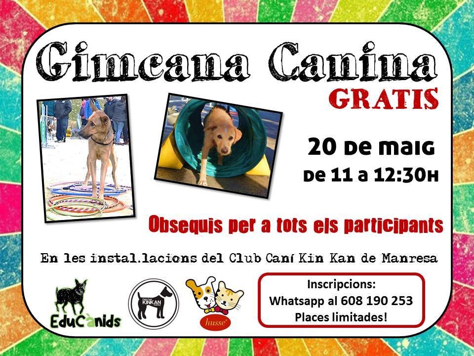 EduCanids's tweet photo. Planazo para la semana que viene y encima GRATIS! No te quedes sin tu plaza y escríbenos un whatsapp al 608 190 253 :-) https://t.co/4y3Gk2SYtP